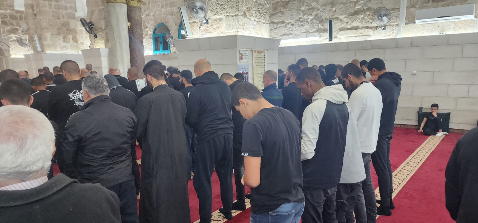 WhatsApp Image 2023-04-18 at 3.36.29 AM.jpeg